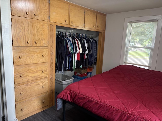 1501 N Summit St, Appleton, WI 54914 - bedroom with a closet