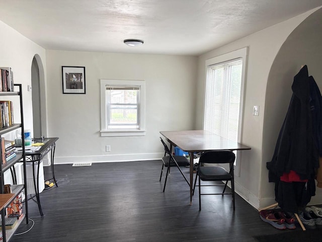 1501 N Summit St, Appleton, WI 54914 - dining room with arched walkways, plenty of natural light, and dark wood-style floors