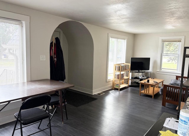 1501 N Summit St, Appleton, WI 54914 - living room with plenty of natural light, dark wood-style floors, and arched walkways