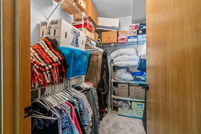 2524 Village Ln Unit B, Oshkosh, WI 54904 - spacious closet with carpet flooring