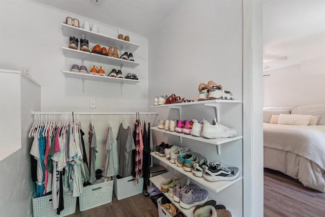 266 E 10th St, Fond Du Lac, WI 54935 - spacious closet featuring wood finished floors