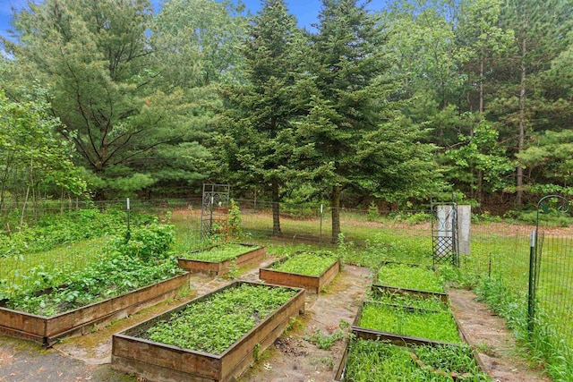 704 Sandy Pines Ct, Redgranite, WI 54970 - view of yard with a vegetable garden