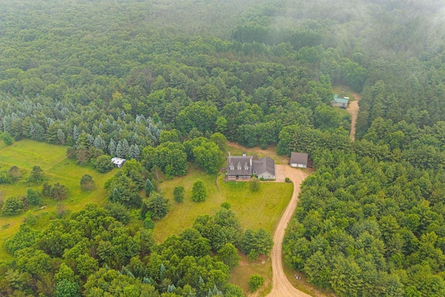 704 Sandy Pines Ct, Redgranite, WI 54970 - bird's eye view of a forest