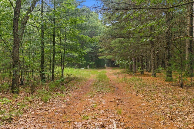 704 Sandy Pines Ct, Redgranite, WI 54970 - view of road with a view of trees