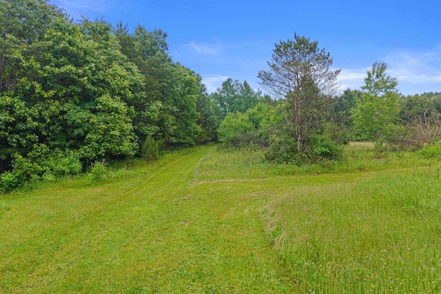 704 Sandy Pines Ct, Redgranite, WI 54970 - view of yard with a forest view