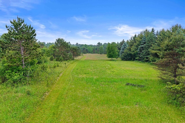 704 Sandy Pines Ct, Redgranite, WI 54970 - view of yard featuring a view of trees