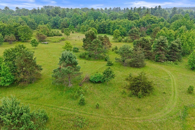 704 Sandy Pines Ct, Redgranite, WI 54970 - bird's eye view