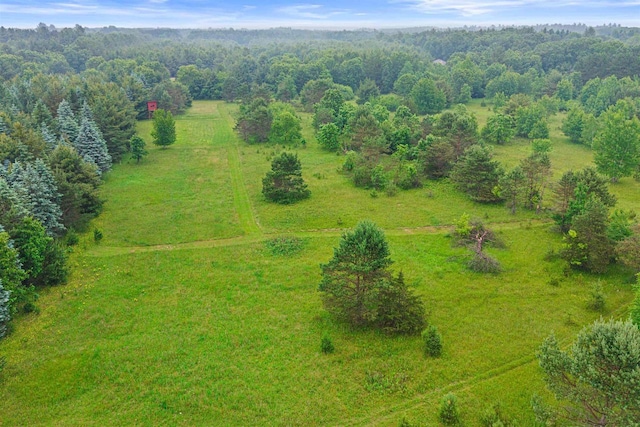 704 Sandy Pines Ct, Redgranite, WI 54970 - aerial view