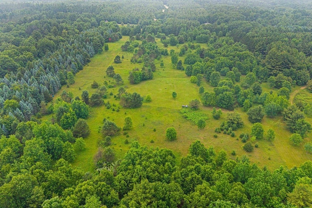704 Sandy Pines Ct, Redgranite, WI 54970 - drone / aerial view of a forest