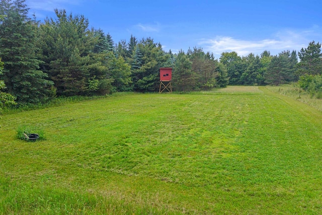 704 Sandy Pines Ct, Redgranite, WI 54970 - view of green lawn