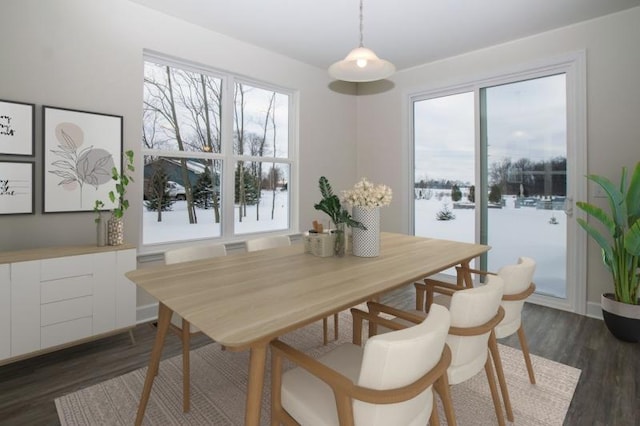 415 Kensington Ct Unit Lt128Adams, Williams Bay, WI 53191 - dining space featuring dark wood-style flooring and healthy amount of natural light