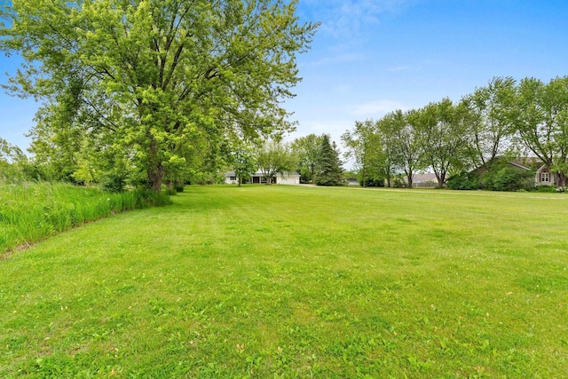 1490 Fernando Dr, Ashwaubenon, WI 54115 - view of green lawn