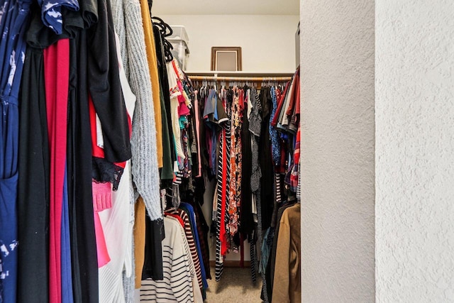 13745 W Park Central Blvd, New Berlin, WI 53151 - walk in closet with carpet floors