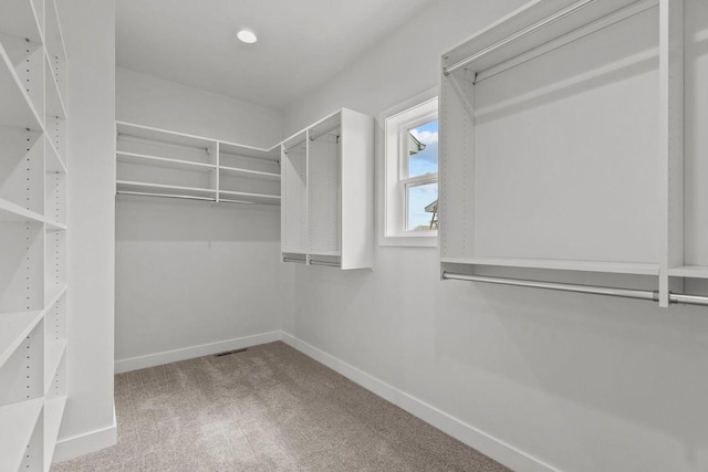 2061 White Dove Ln, Kaukauna, WI 54130 - spacious closet with carpet floors