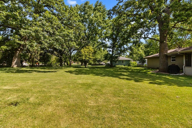 327 W Wisconsin St, Delavan, WI 53115 - view of green lawn