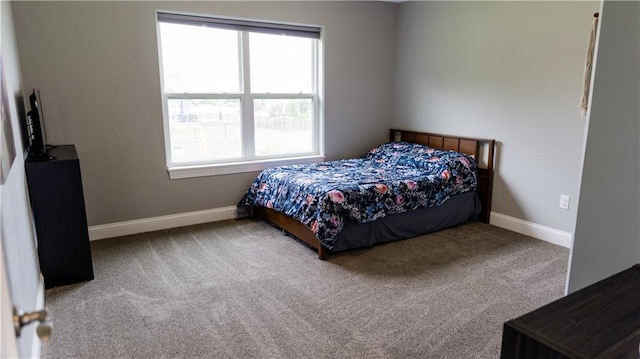 406 S Birch St, Marshfield, WI 54449 - bedroom featuring carpet