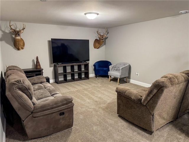 406 S Birch St, Marshfield, WI 54449 - living area with carpet floors and baseboards