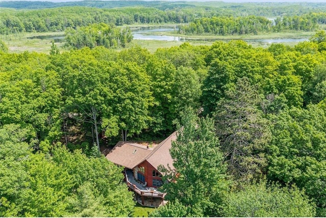 62405 Delta Lake Rd, Iron River, WI 54847 - drone / aerial view of a heavily wooded area and a large body of water