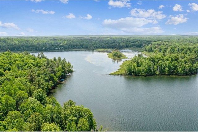 62405 Delta Lake Rd, Iron River, WI 54847 - aerial view of a forest and a nearby body of water