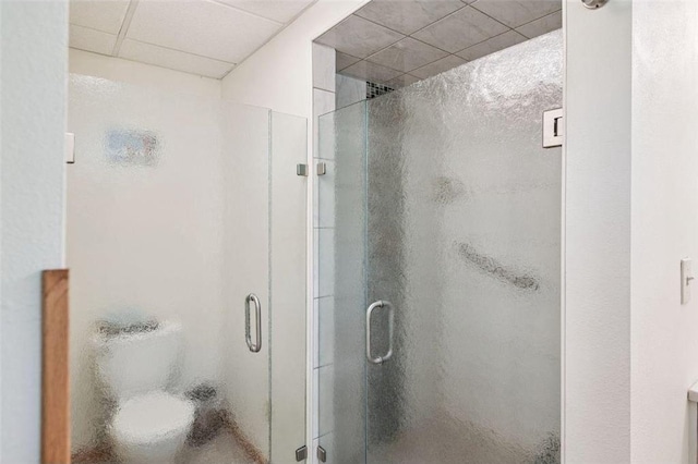 62405 Delta Lake Rd, Iron River, WI 54847 - full bath with a stall shower and a drop ceiling