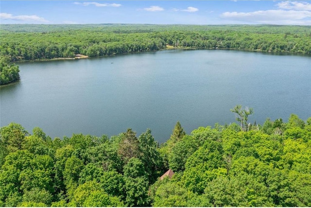 62405 Delta Lake Rd, Iron River, WI 54847 - water view with a forest