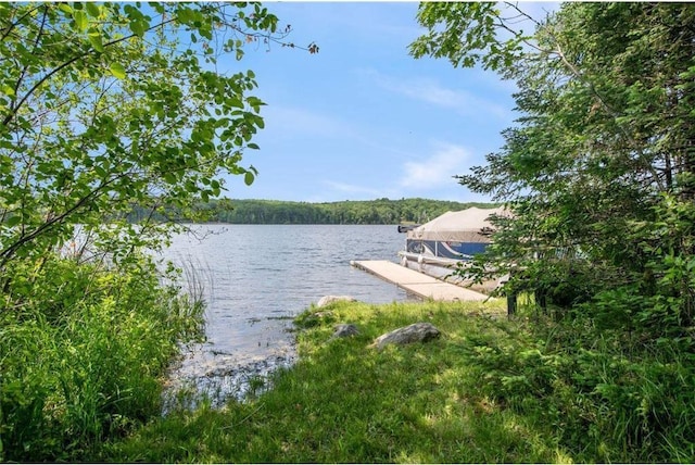 62405 Delta Lake Rd, Iron River, WI 54847 - dock area with a water view and a wooded view