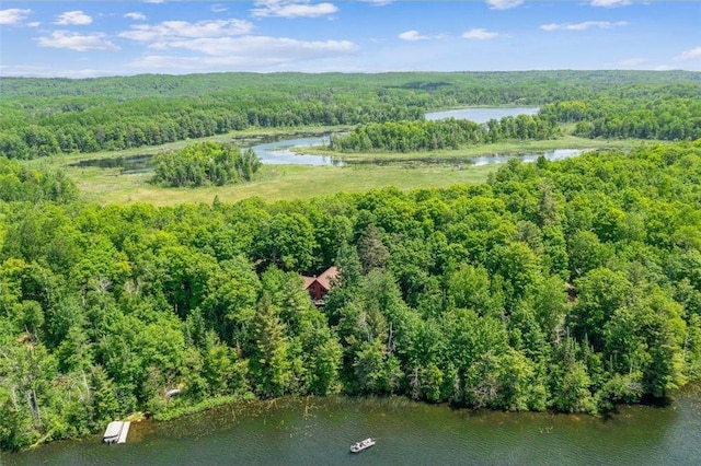 62405 Delta Lake Rd, Iron River, WI 54847 - drone / aerial view of a forest and a large body of water