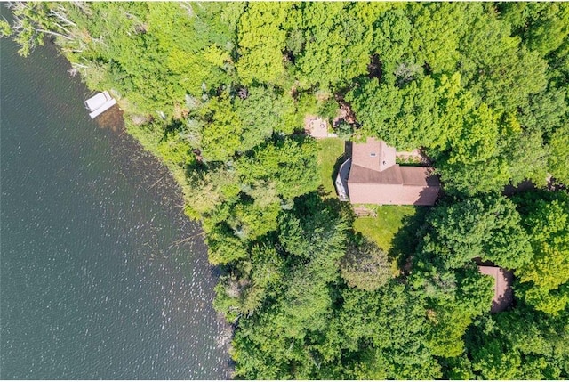 62405 Delta Lake Rd, Iron River, WI 54847 - aerial view of property's location with a large body of water