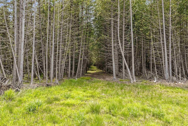 4721 Lake Of The Woods Rd, Sturgeon Bay, WI 54235 - view of nature