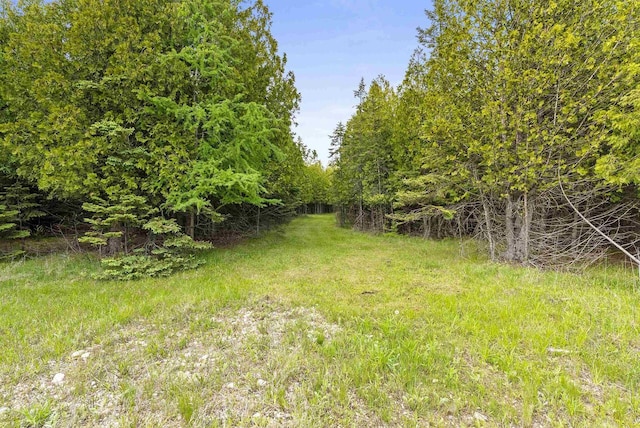 4721 Lake Of The Woods Rd, Sturgeon Bay, WI 54235 - view of yard
