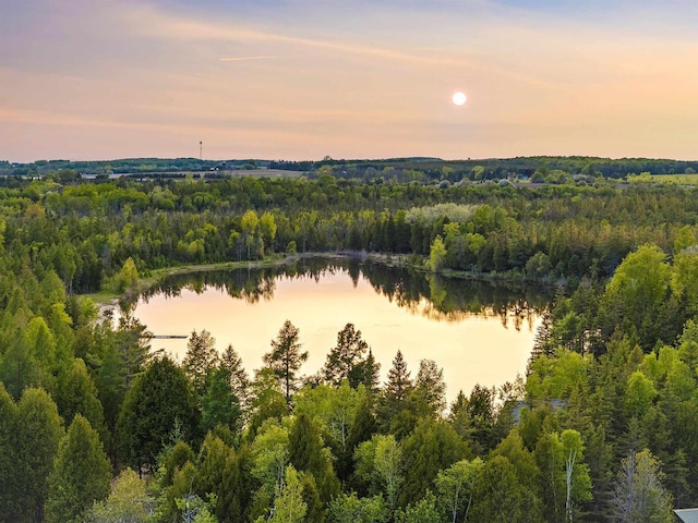 4721 Lake Of The Woods Rd, Sturgeon Bay, WI 54235 - aerial view of a nearby body of water and a forest
