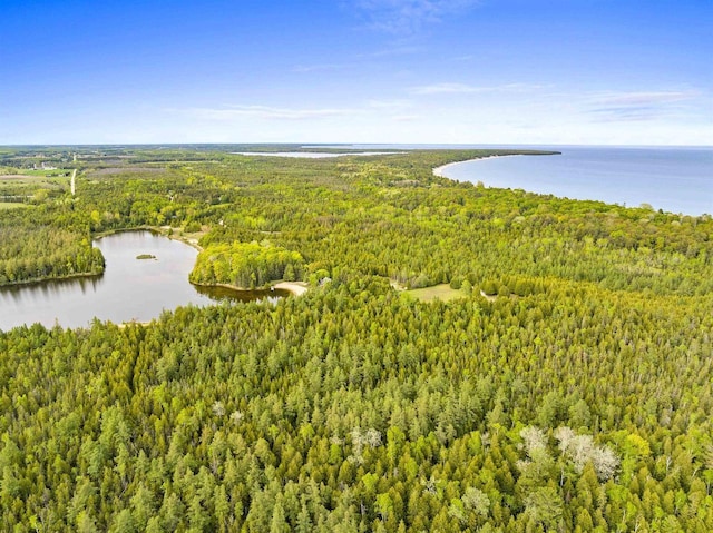 4721 Lake Of The Woods Rd, Sturgeon Bay, WI 54235 - aerial view of a forest and a large body of water