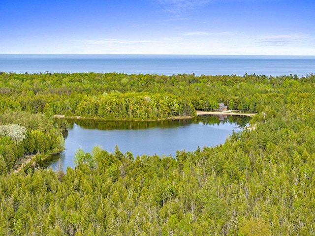 4721 Lake Of The Woods Rd, Sturgeon Bay, WI 54235 - water view featuring a heavily wooded area