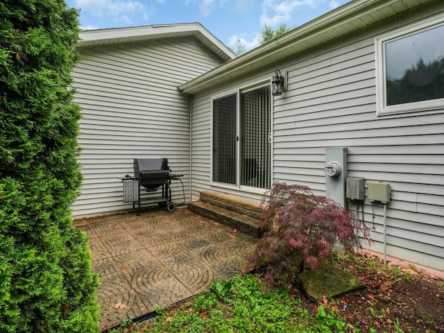 8300 Fishman Rd, Burlington, WI 53105 - view of patio / terrace featuring entry steps and a grill