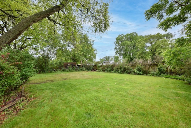 8535 N 59th St, Brown Deer, WI 53223 - view of yard