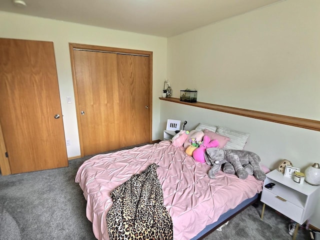 3201 Mockingbird Way, Oshkosh, WI 54904 - bedroom featuring carpet flooring and a closet