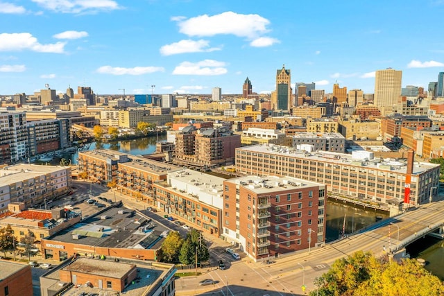 200 S Water St Unit 307, Milwaukee, WI 53204 - skyline view with a nearby body of water