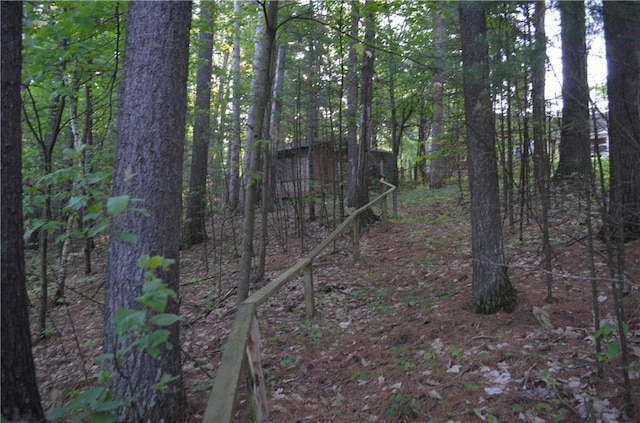 1330A 21 3/4 St, Cameron, WI 54822 - view of tree filled area
