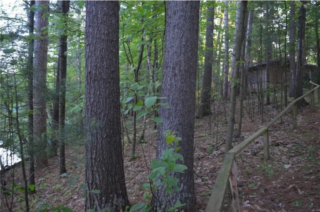 1330 21 3/4 St Unit A, Cameron, WI 54822 - view of woods