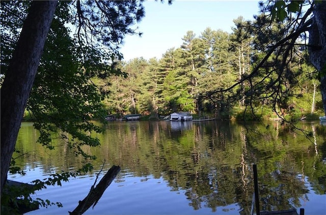1330 21 3/4 St Unit A, Cameron, WI 54822 - water view with a heavily wooded area