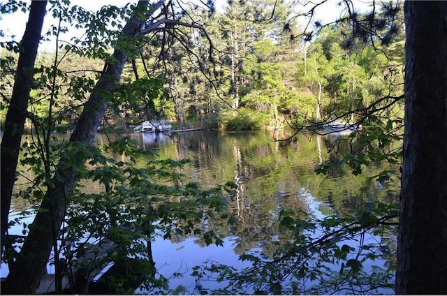 1330 21 3/4 St Unit A, Cameron, WI 54822 - water view featuring a heavily wooded area