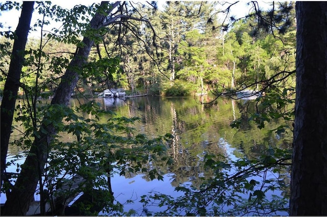 1330 21 3/4 St Unit A, Cameron, WI 54822 - water view with a heavily wooded area