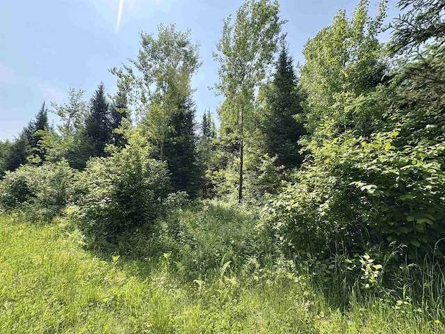 76557 Deringer Rd, Glidden, WI 54527 - view of wooded area