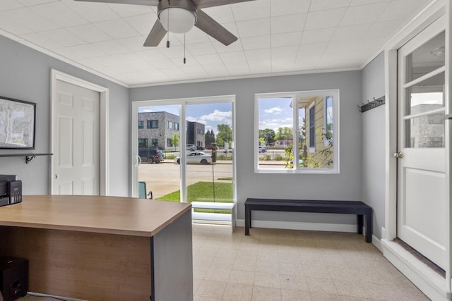 1002 Grove St, Oshkosh, WI 54901 - office featuring a ceiling fan, crown molding, and light floors