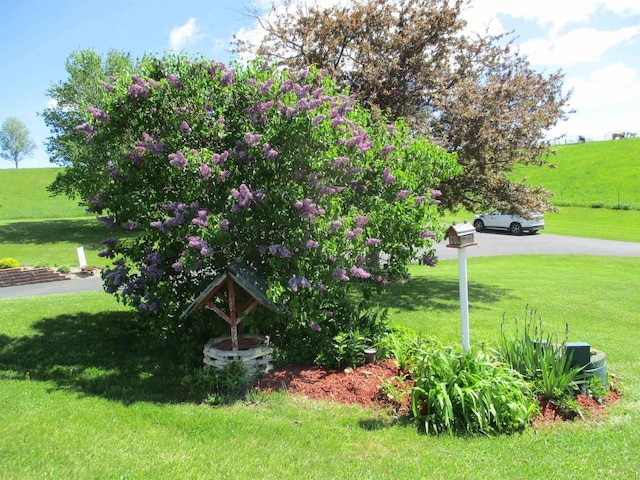 30694 County Rd W, Elroy, WI 53929