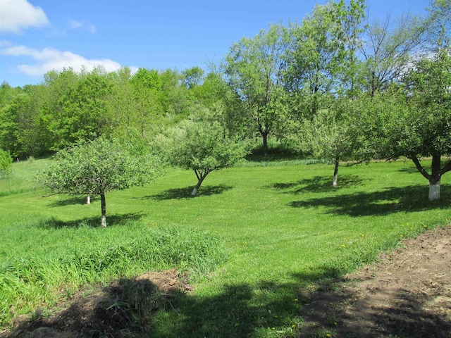 30694 County Rd W, Elroy, WI 53929
