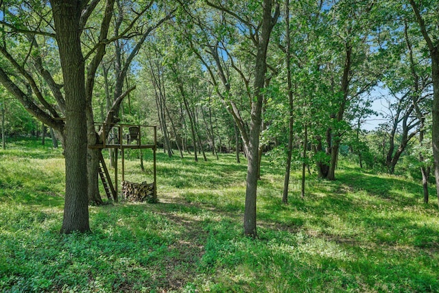 W318S4121 Highview Rd, Waukesha, WI 53189 - view of local wilderness
