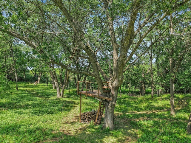 W318S4121 Highview Rd, Waukesha, WI 53189 - view of yard