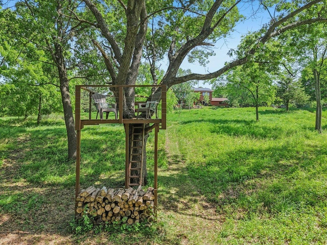 W318S4121 Highview Rd, Waukesha, WI 53189 - view of yard