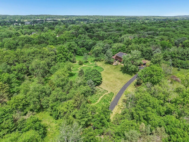 W318S4121 Highview Rd, Waukesha, WI 53189 - drone / aerial view of a forest